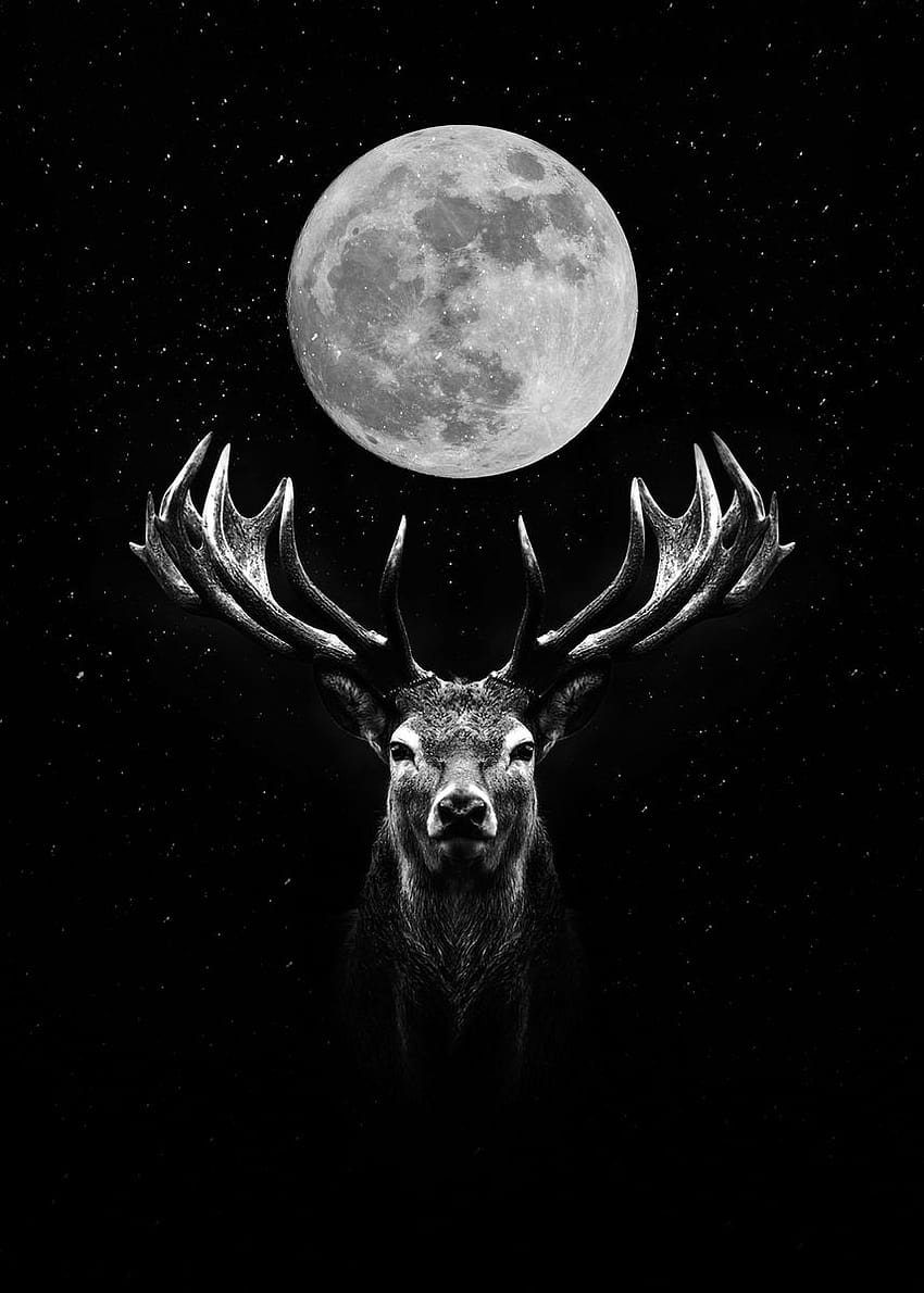 Moon Deer' 포스터 by MK 스튜디오, 사슴 포스터 HD 전화 배경 화면