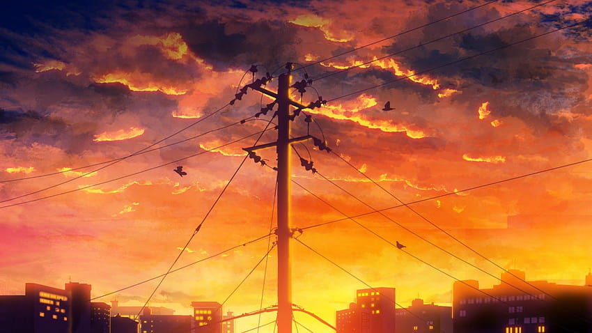 2560x1440 Anime Sunset, Landscape, Birds, Clouds HD wallpaper