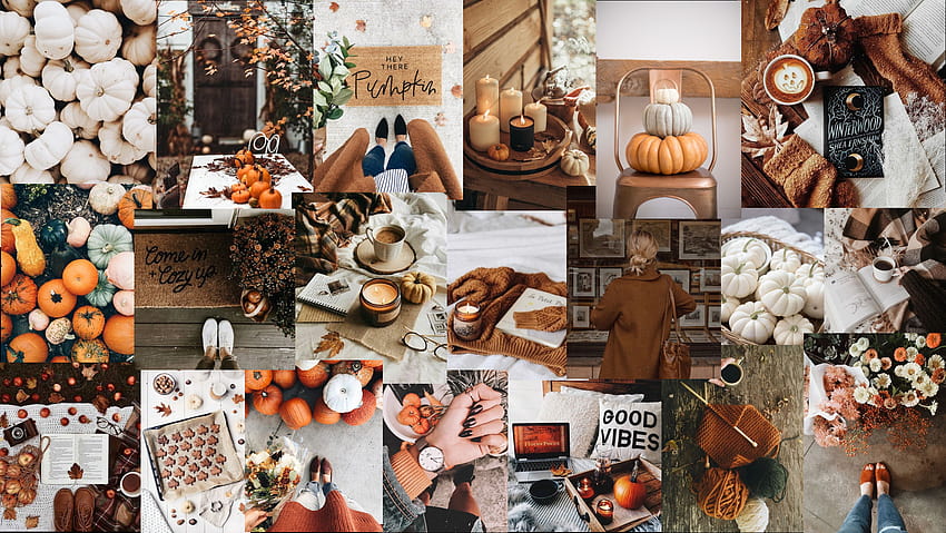 Fall, beige autumn aesthetic HD wallpaper