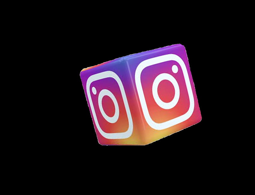 Instagram logo isometric icon Royalty Free Vector Image