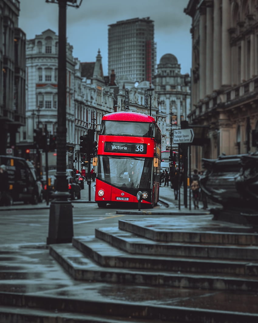 50 London Bus, red bus HD phone wallpaper
