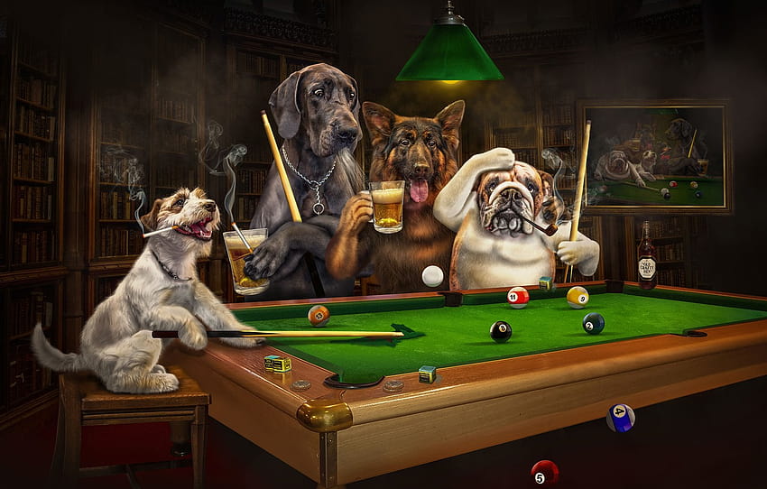 language, dogs, look, the dark background, rendering, table, stay, balls, the game, books, lamp, beer, dog, club, Billiards , section рендеринг, dogs playing pool HD wallpaper