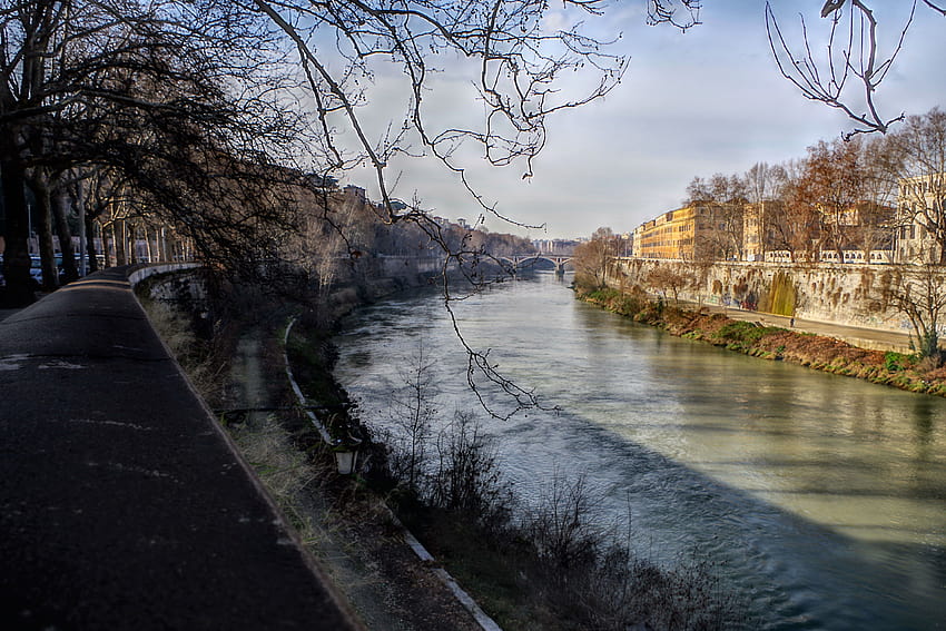 : landscape, city, reflection, sky, winter, branch, evening, river, panorama, spring, Rome, canal, Bank, pentax, waterfront, tree, plant, roma, watercourse, channel, moat, waterway, body of water, tiber, tevere, k70, angelopetrozza, lungotevere, rome spring HD wallpaper