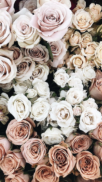 Với hình nền đám cưới hoa hồng trắng sang trọng, bạn sẽ được trải nghiệm một không gian tràn đầy sự tinh tế và đẳng cấp. Hãy lựa chọn những bức ảnh đẹp, tươi sáng và gợi cảm để tạo nên một không gian trang trọng, lộng lẫy cho ngày cưới của mình.