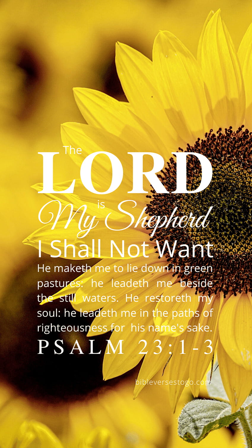 Sunflower Bible Verse, common sunflower HD phone wallpaper