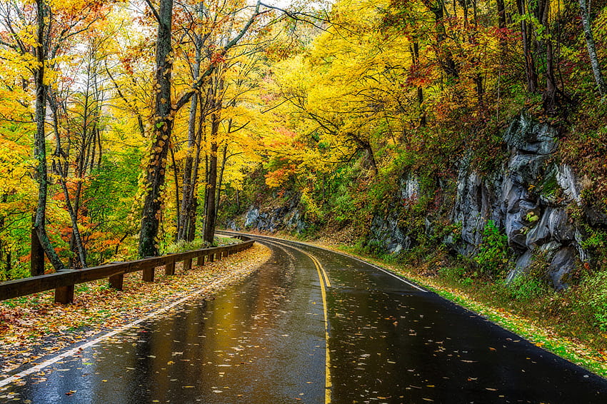USA Great Smoky Mountains Autumn Nature Roads, autumn national park HD wallpaper