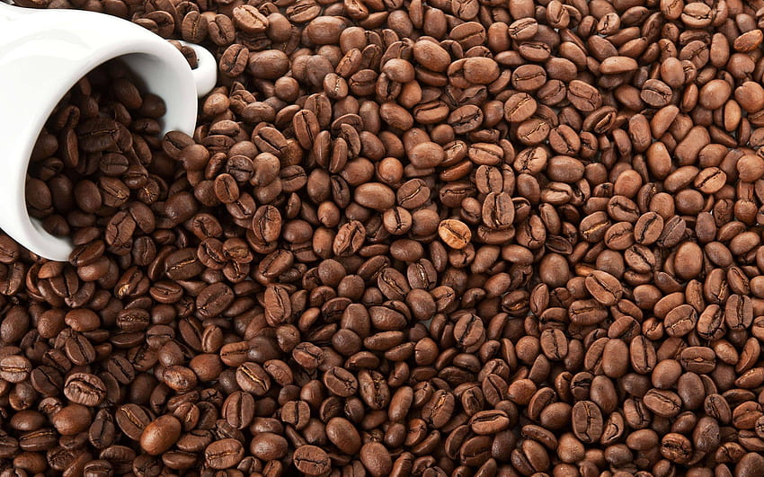 20 Lovely Coffee HD wallpaper | Pxfuel