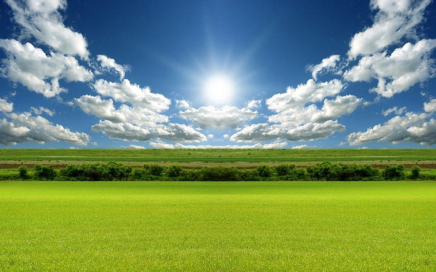 Hierba verde, el sol brilla s para PowerPoint, de hierba verde fondo de pantalla