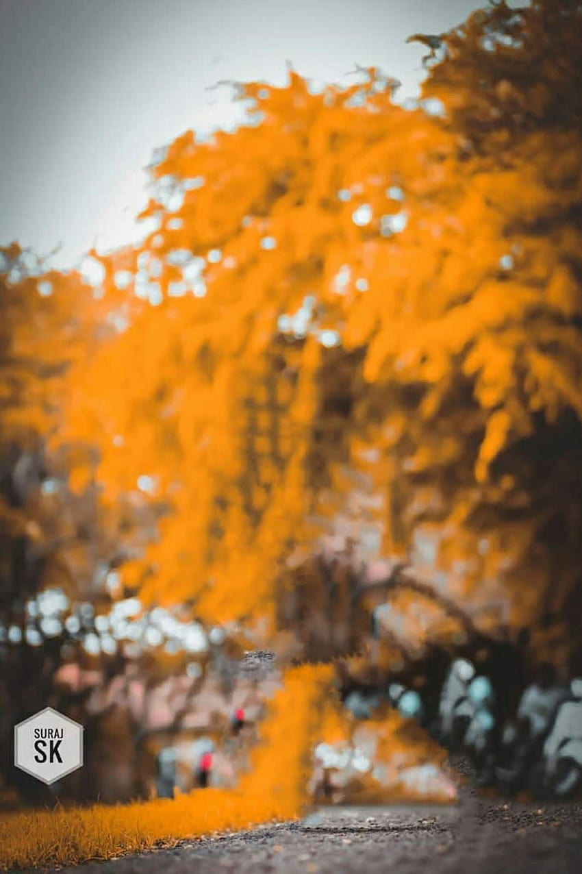 Bạn là người yêu thích những bức ảnh nghệ thuật đầy tinh tế? Bộ sưu tập CB blur wallpaper sẽ là lựa chọn hoàn hảo dành cho bạn. Đừng bỏ lỡ cơ hội để thưởng thức những bức ảnh độc đáo này!