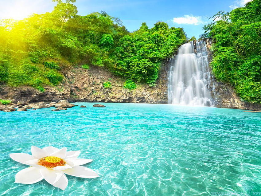 Nature Paradise, waterfall paradise HD wallpaper