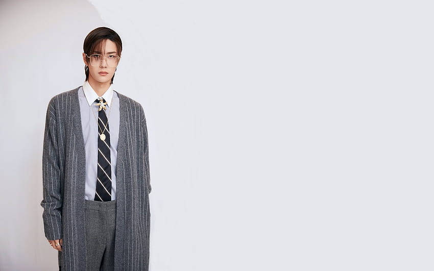 Okulary, przystojny chiński aktor, krawat, Wang Yibo, Azjata Tapeta HD