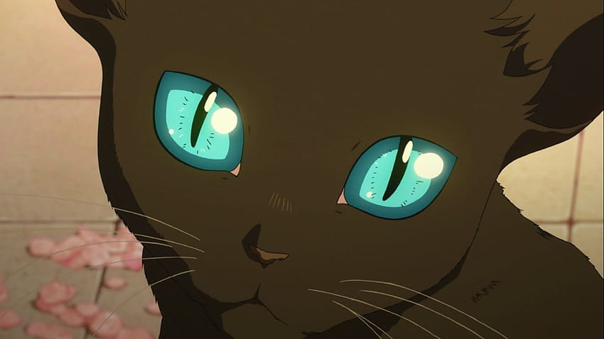 Начало на аниме, вашата лъжа през април черна котка HD тапет