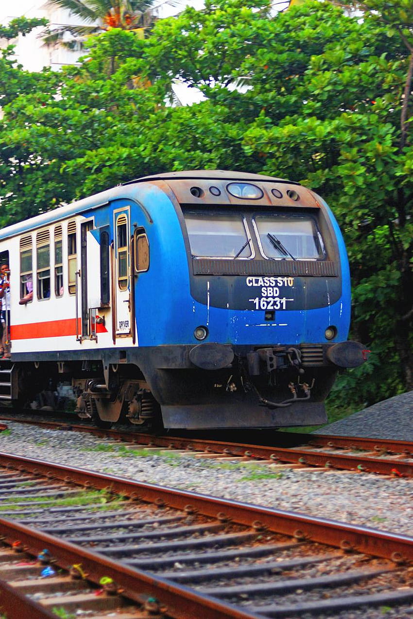 Tren Srilanka por Paulrock20, tren local fondo de pantalla del teléfono