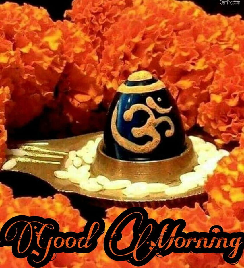 Good Morning, lord shiva lingam HD phone wallpaper | Pxfuel