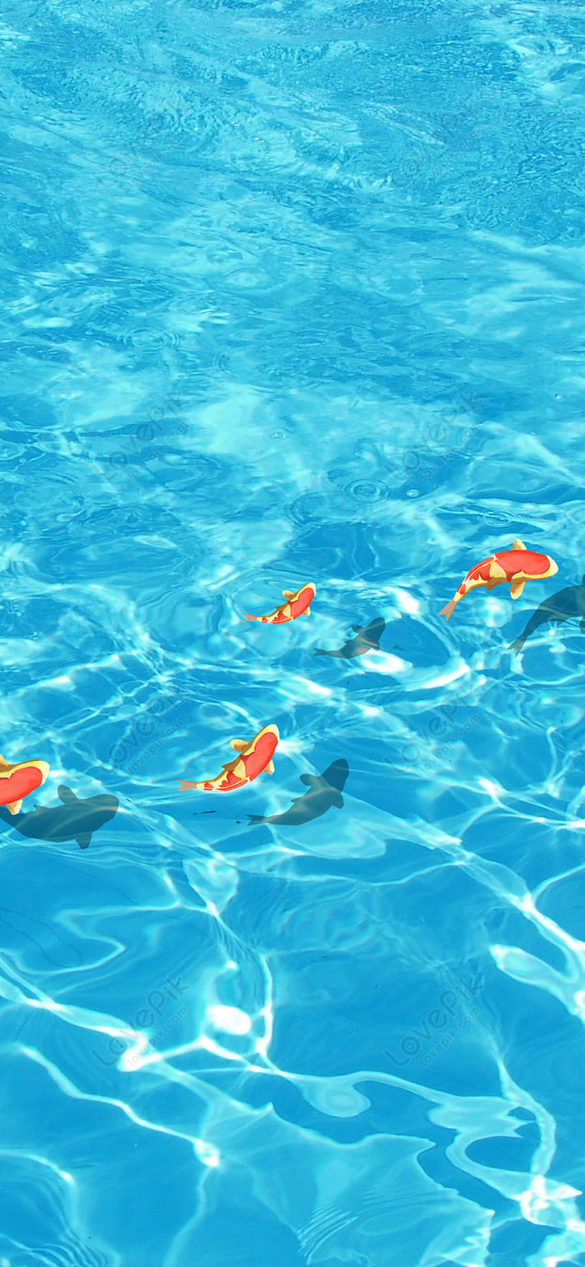 Ponsel Ikan Berenang Di Latar Belakang Air di Lovepik, ikan di dalam air wallpaper ponsel HD
