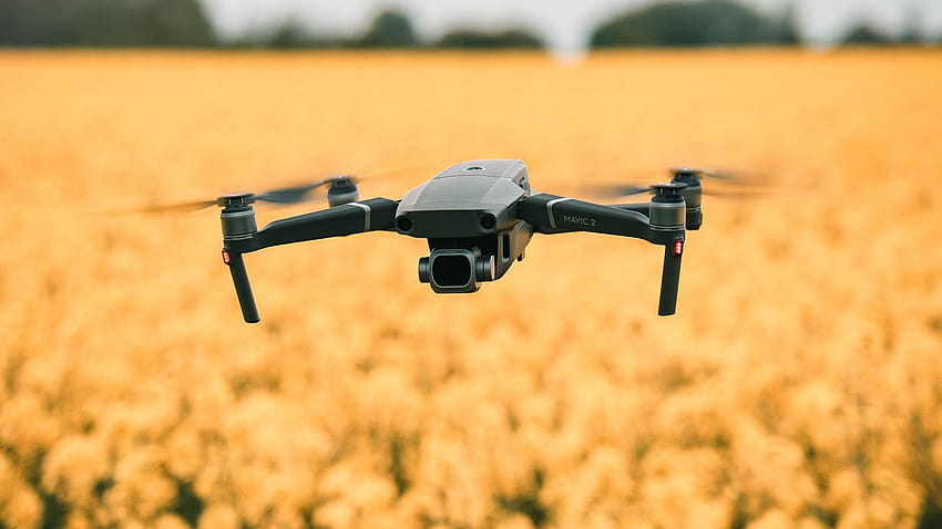 2560x1440 quadcopter, drone, flight, flowers, yellow, field 16:9 backgrounds HD wallpaper