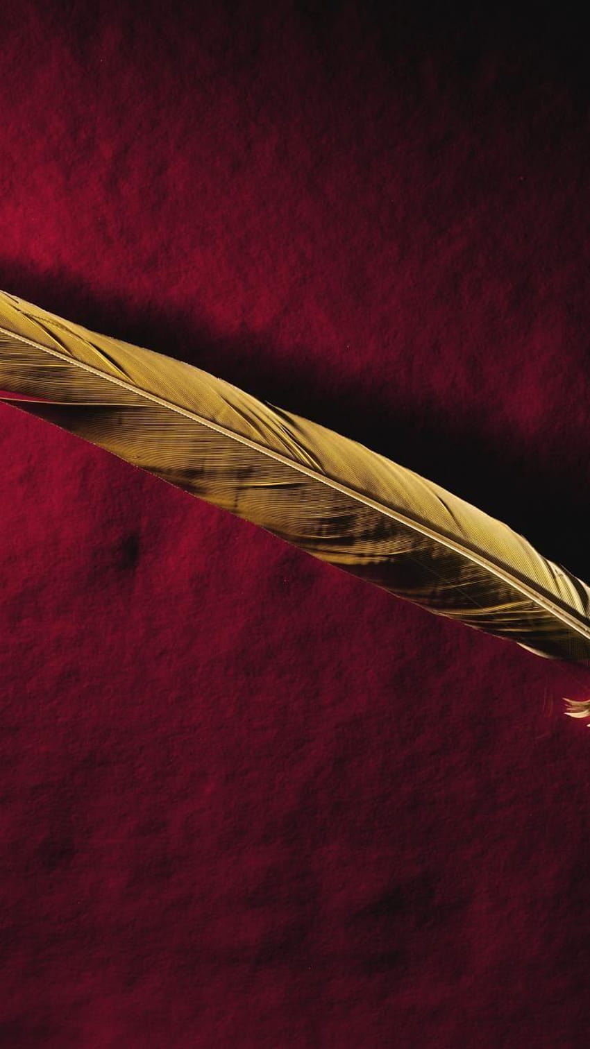 Feathers gold minimalistic red, red and gold HD phone wallpaper