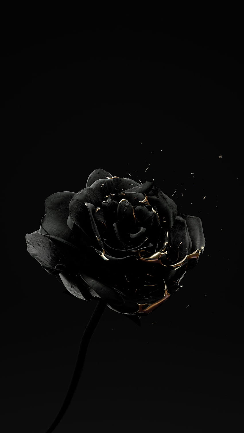 Roses Are Dead – Vol. 4 “Black and Gold” on Behance, dying rose HD phone wallpaper