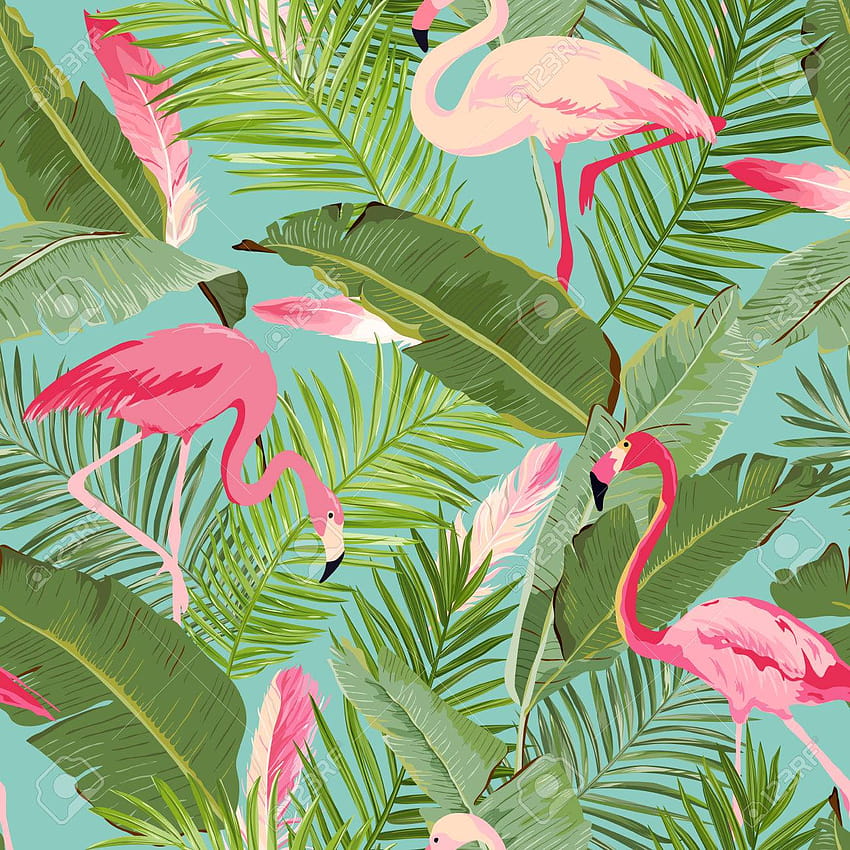 Tropical Seamless Vector Flamingo And Floral Summer, summer and tropical HD phone wallpaper
