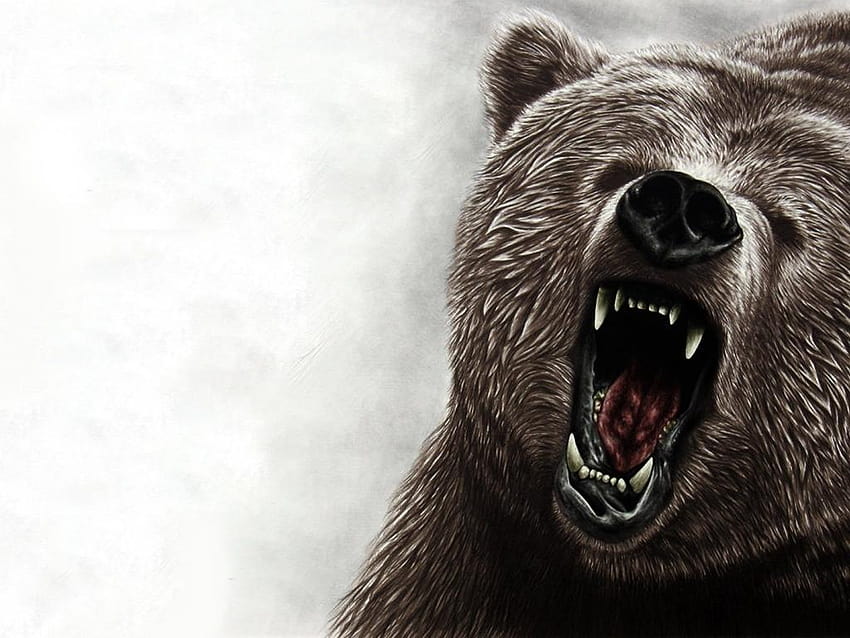 Angry Grizzly Bear 6 HD wallpaper