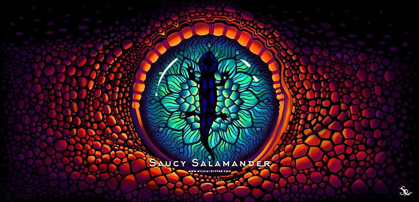 Saucy Salamander, salamanders HD wallpaper