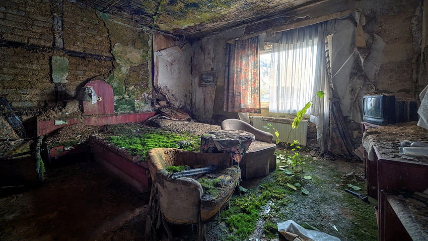 wnętrze zielonego pokoju opuszczony opuszczony dom [2560x1440] dla Twojego , Mobile & Tablet Tapeta HD