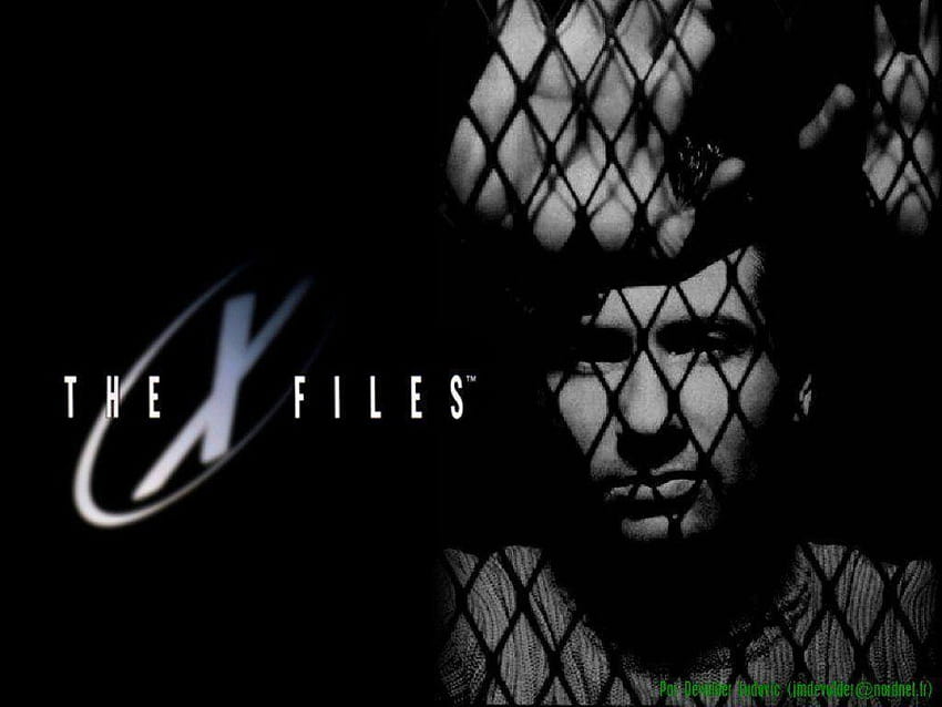 The X, xfiles HD wallpaper | Pxfuel