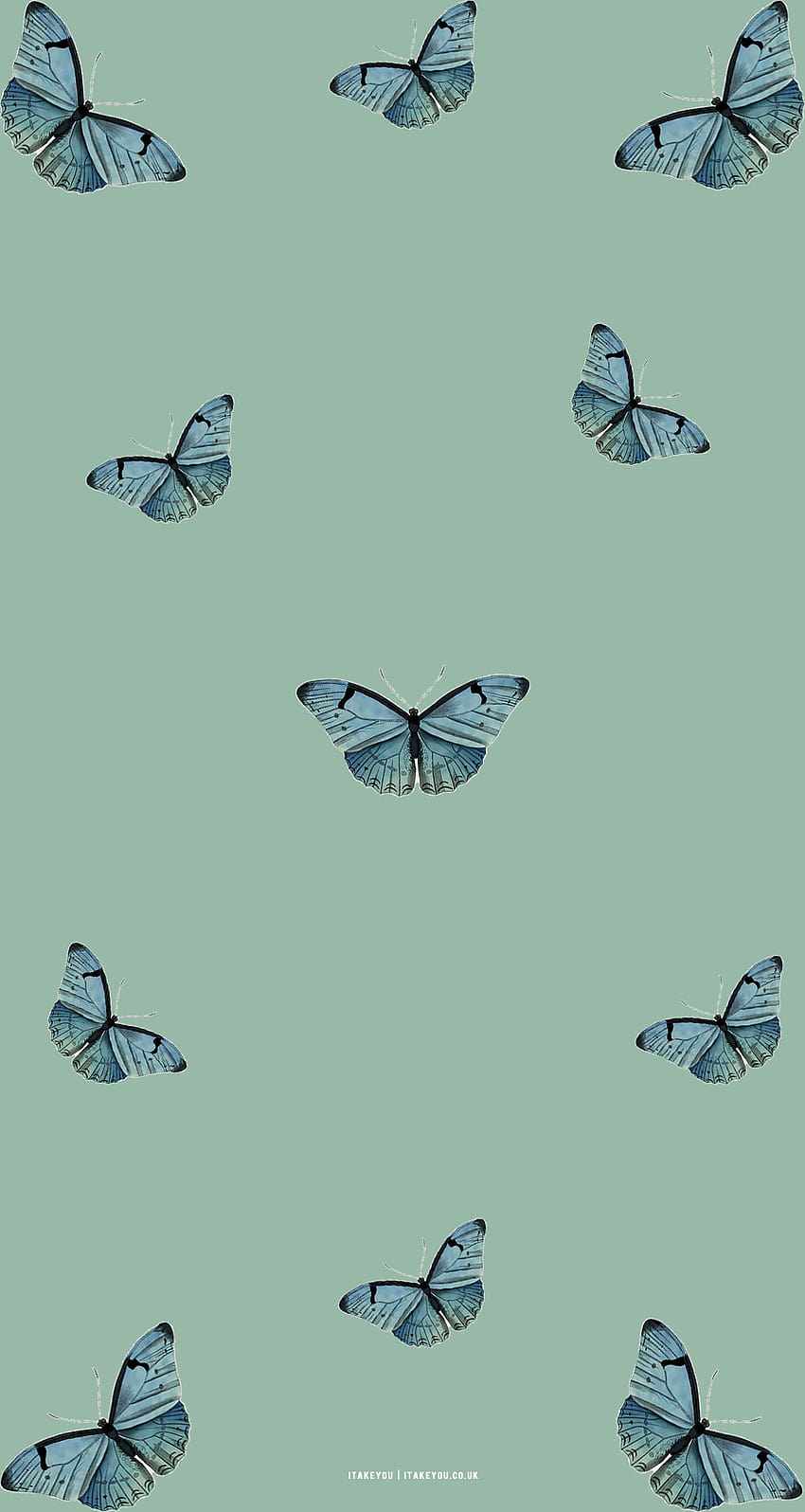 15 Sage Green Minimalist für Telefon: Butterfly Butterfly I Take You, grüne minimalistische Ästhetik HD-Handy-Hintergrundbild