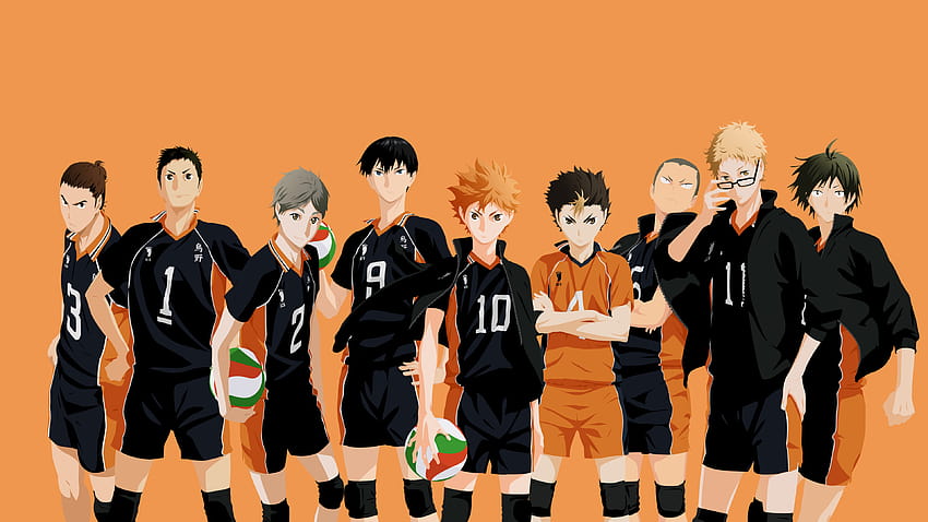 Karasuno Volleyball Team, volleyball boy HD wallpaper