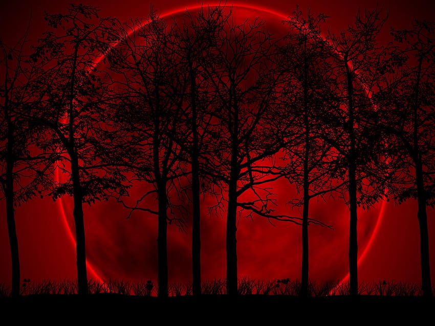 赤と黒の木、赤い木は暗い 高画質の壁紙