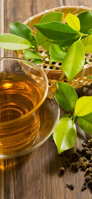 Green tea leaves HD wallpapers | Pxfuel