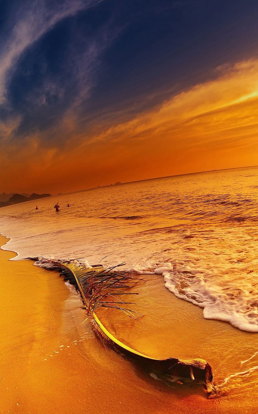 Golden Beach Waves Sunset Android, golden coast HD phone wallpaper