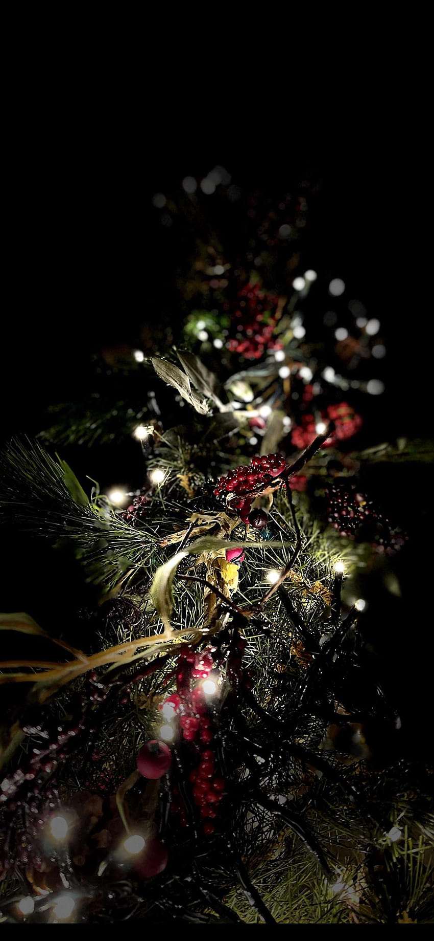 Đèn Noel iPhone: Đón Giáng sinh với đèn Noel đầy ấn tượng trên iPhone. Những bức ảnh đầy màu sắc sẽ mang đến niềm vui và hạnh phúc cho ngày lễ của bạn.