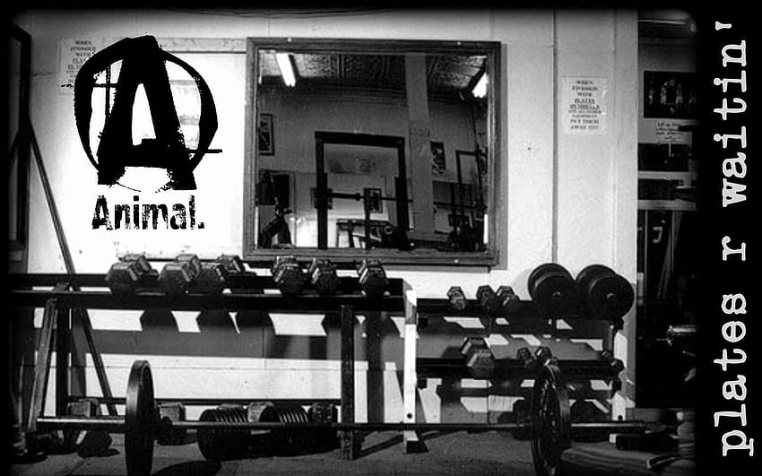 Weight Room Motivational Quotes Amazing Weight Lifting, weight lifting ...