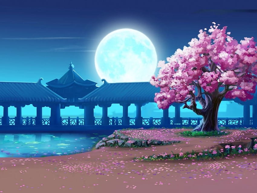 1024x768 Sakura tree and full moon –, spring full moon HD wallpaper