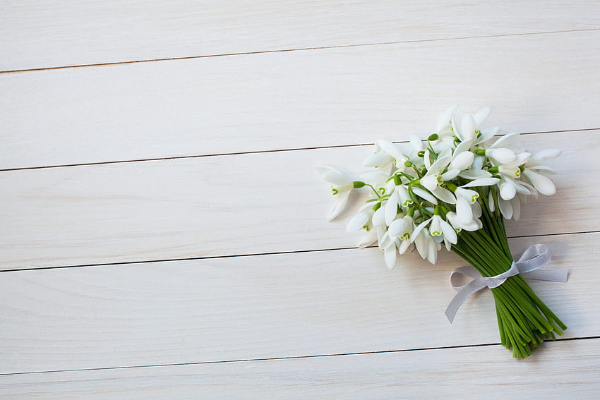 Bukiet białych przebiśniegów, kwiaty, bukiet, wiosna, przebiśniegi Tapeta HD