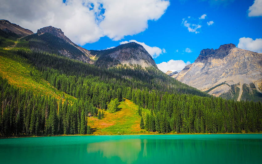 Emerald Lake, mountains, forest, Yoho National Park, Canada, emerald lake yoho national park HD wallpaper