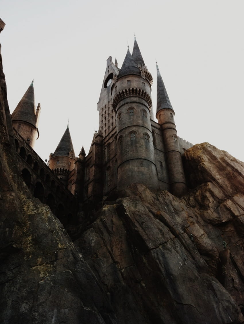 If i went to hogwarts, dark academia harry potter HD phone wallpaper