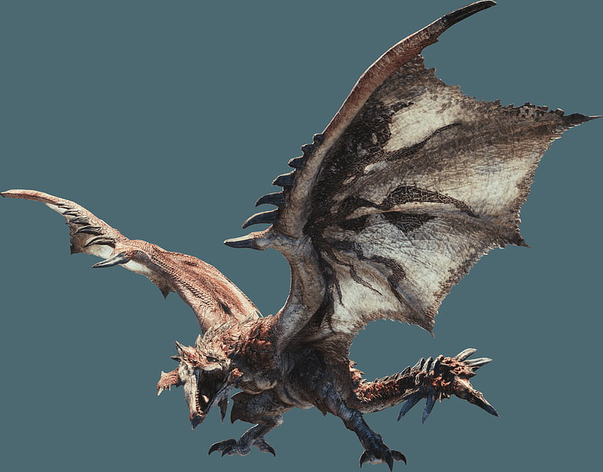 Rathalos, caçador de monstros mundo rathian papel de parede HD