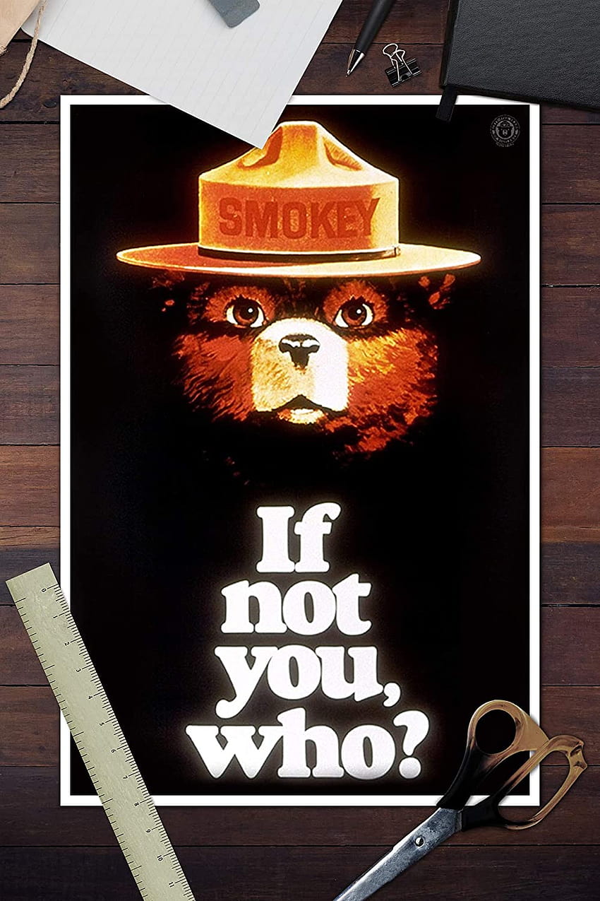 Smokey Bear, Si ce n'est pas toi, qui, affiche vintage 79789, smokey l'ours Fond d'écran de téléphone HD