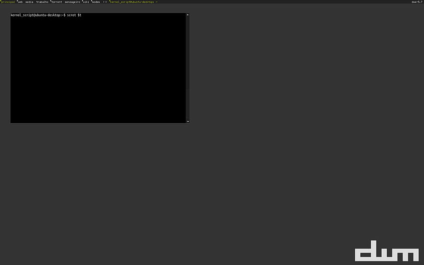 Installing dwm ubuntu 10.04, dwm background HD wallpaper
