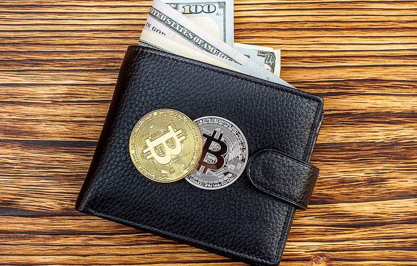 dollar, dollar, purse, bitcoin, wallet, bitcoin, btc HD wallpaper