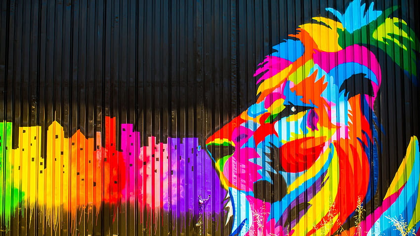 Lion Graffiti lion HD wallpaper