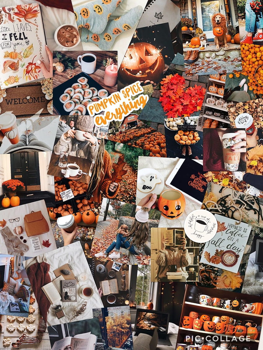Fall , Fall collage, Love fall, vsco halloween HD phone wallpaper | Pxfuel