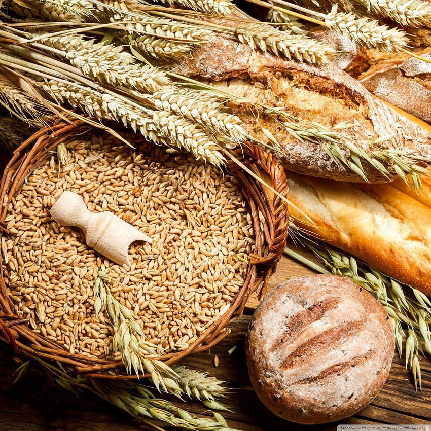 Bread And Wheat Food Ultra Backgrounds for, bread wheat HD phone wallpaper