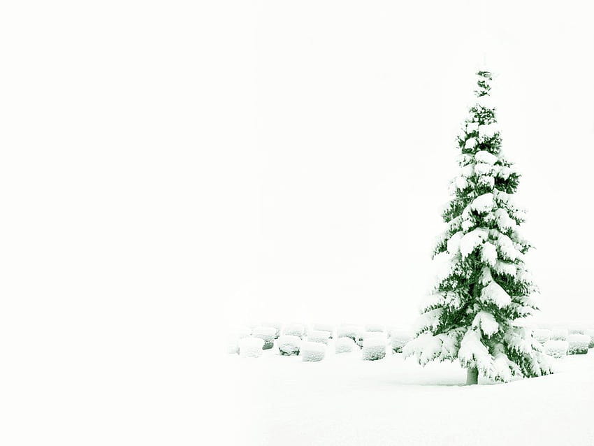 lonely christmas by ~rose, lonely christmas tree HD wallpaper