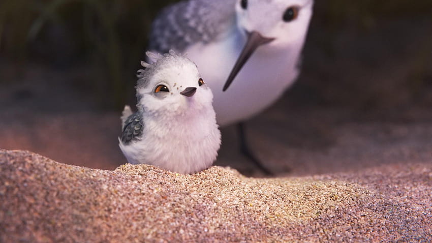 Novo lançado para Pixar curta, piper pixar papel de parede HD