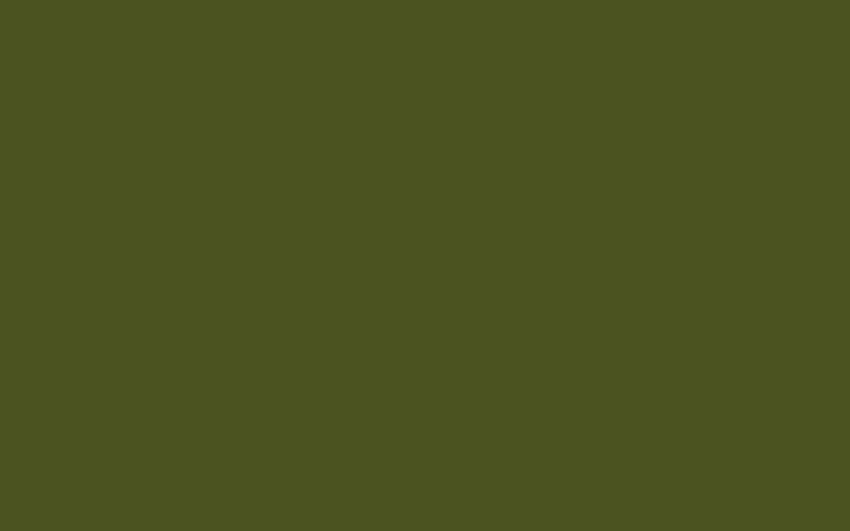 Армейски зелени едноцветни фонове, хиджау на фона HD тапет