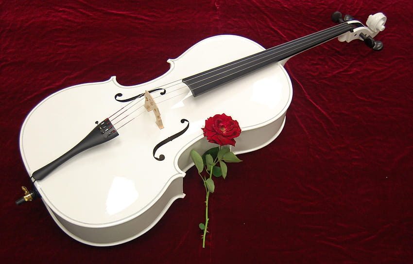 Cello Instruments Philharmonic HD wallpaper