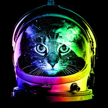 Tom Maierle - Space cat(wallpaper)
